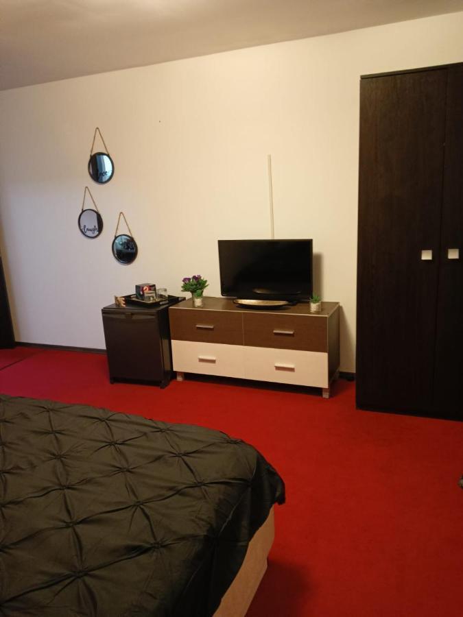 Karina House Apartment Brasov Exterior photo
