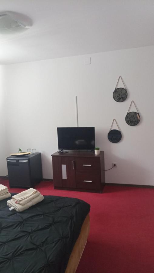 Karina House Apartment Brasov Exterior photo