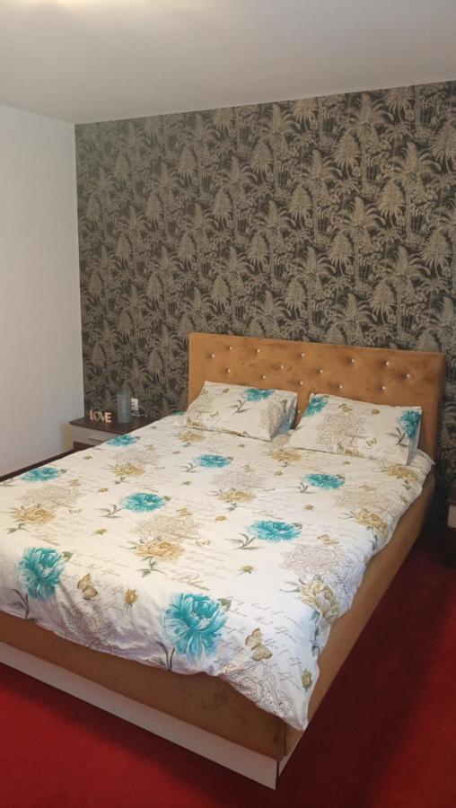 Karina House Apartment Brasov Exterior photo